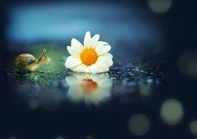 冷静地失去,冷静地获得,为必然性而奋斗,让大自然顺其自然1