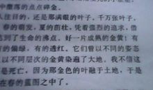 描写秋天的好段50字