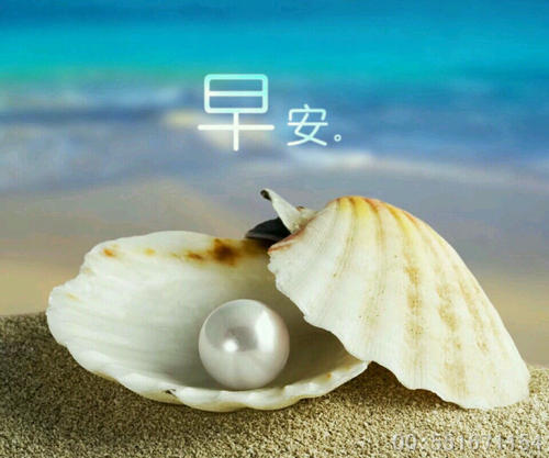 关于珍珠的审美句子