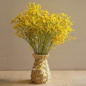 优美的句子描述了学生的幸福。形容人们幸福的句子