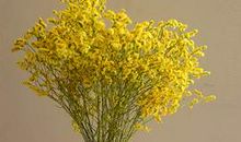 描写学生开心的优美句子 描写人十分高兴的句子