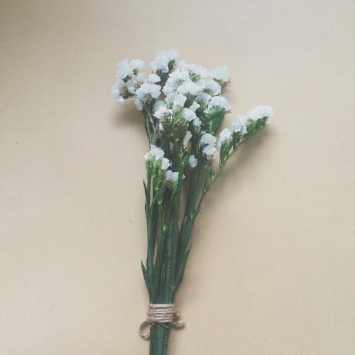 描述快乐会议的句子