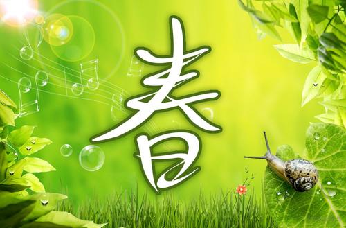 关于春天的10条谚语