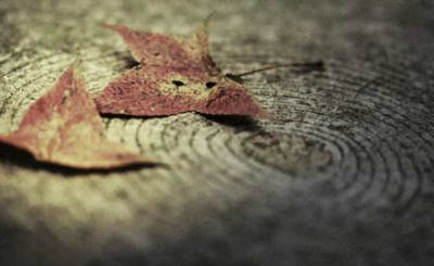 我没有退缩，然后你就这样把我叫醒了，放开那些遗忘的东西