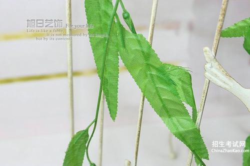 关于树叶的寓言