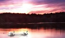 关于星空的比喻句