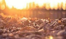 生活中的不如意的事情，是为了给你成就美好未来路上的勋章