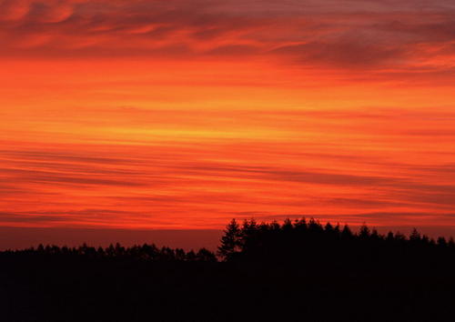 关于描述日落的句子