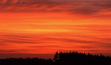 关于描写夕阳的句子