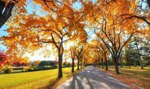 秋天环境描写的好段