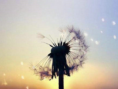 我有很多遗憾，不比你差1