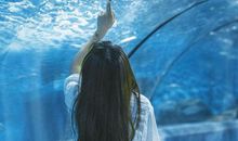 五更天时下大海歇后语