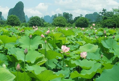 一个很好的部分描述了秋天的景色