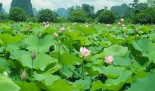 描写秋天景物的好段