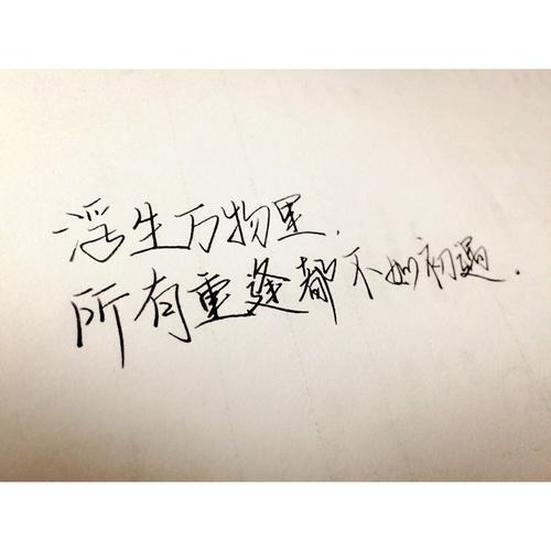 初次见面的美感句子