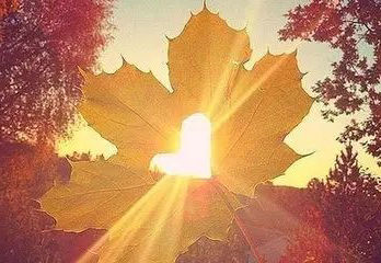 人性最大的悲伤是无法摆脱灵魂的困惑1