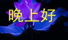 一句话祝福语大全