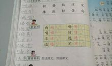 关于鸟类的谚语