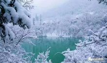 描写冬天的冷的句子