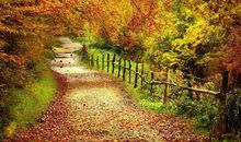 关于秋天景色的成语