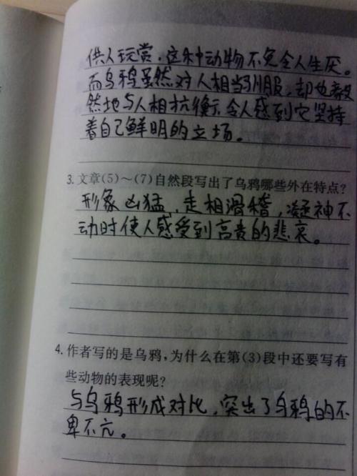 这本书是一个平行的句子