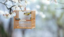 唯美的句子和图片大全：宿命之所以存在，只因为有人太无奈