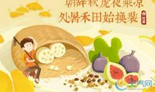 与鸟相关的谚语