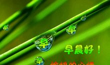 上午祝福语大全