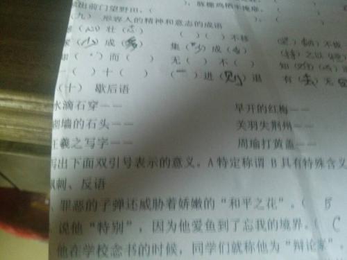 量身定制的寓言格言