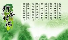 2020年五月端午祝福语