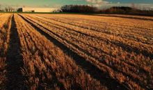 麦田的守望者经典句子