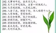 有关人生哲理的谚语