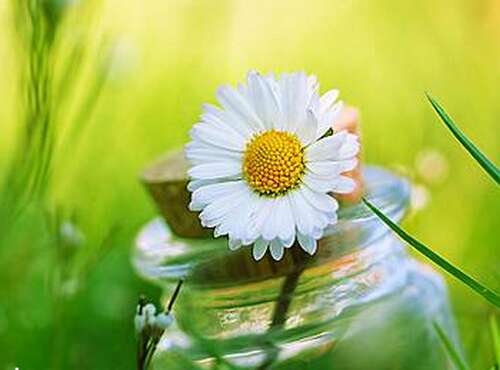 每个人都是平凡的天使，胜利来了