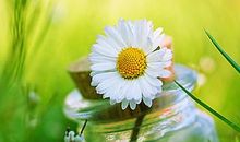 每个人都是平凡中的天使，胜利就要来了