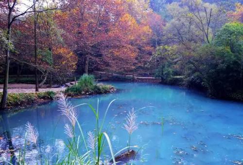 夏末秋初的句子