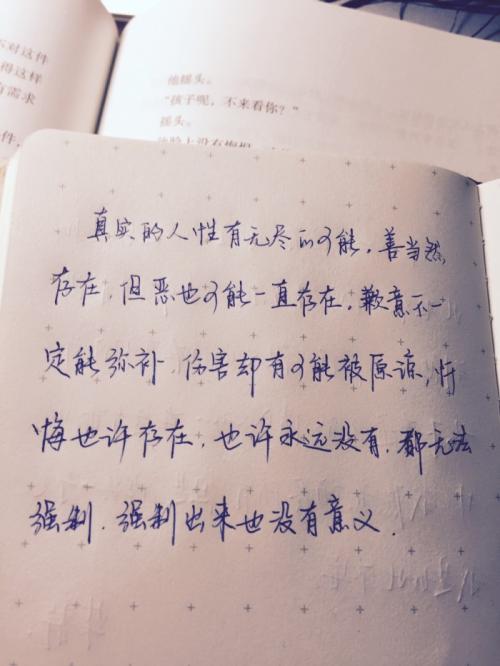 柴静看到经典语录