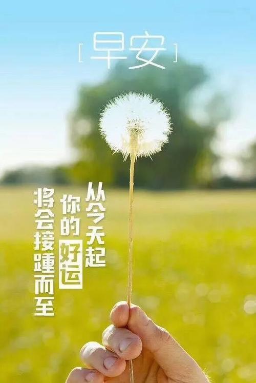 早安句子