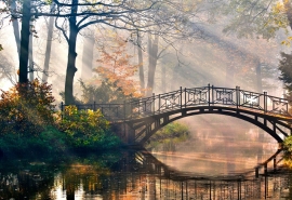 关于初冬的审美句子