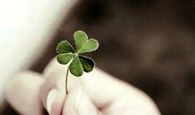 从来就没有卑微的生命，只有卑微的态度