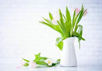 从来没有过谦虚的生活，只有谦虚的态度1