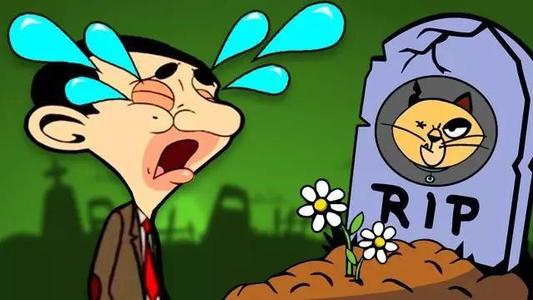 关于保护动物的谚语