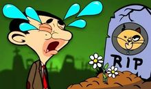 关于保护动物的谚语