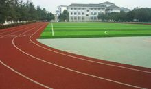 学校运动场标语