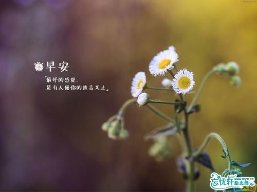 星期一客户问候短信是真诚而简短的