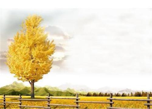 表达秋天的句子