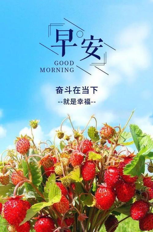 早安句子朋友圈