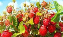 早安的句子朋友圈