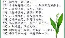 关于智慧的英文谚语