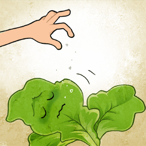 关于食物的谚语