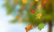 赞美秋天的语句